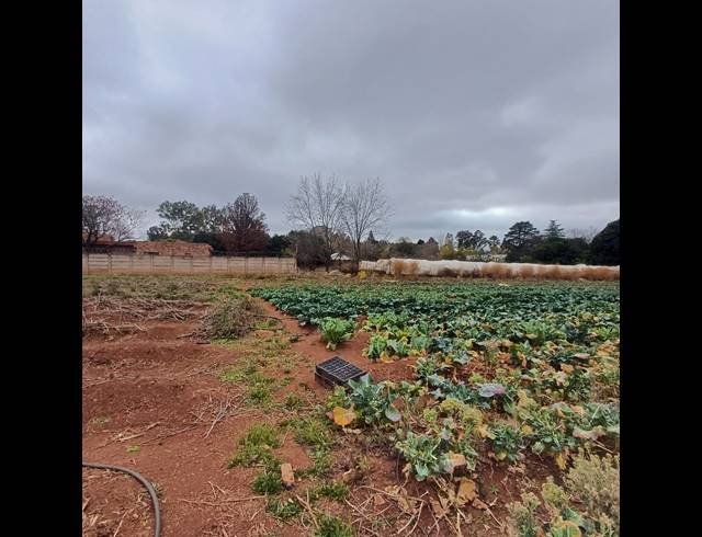 4,064M² VACANT LAND FOR SALE IN HENLEY ON KLIP